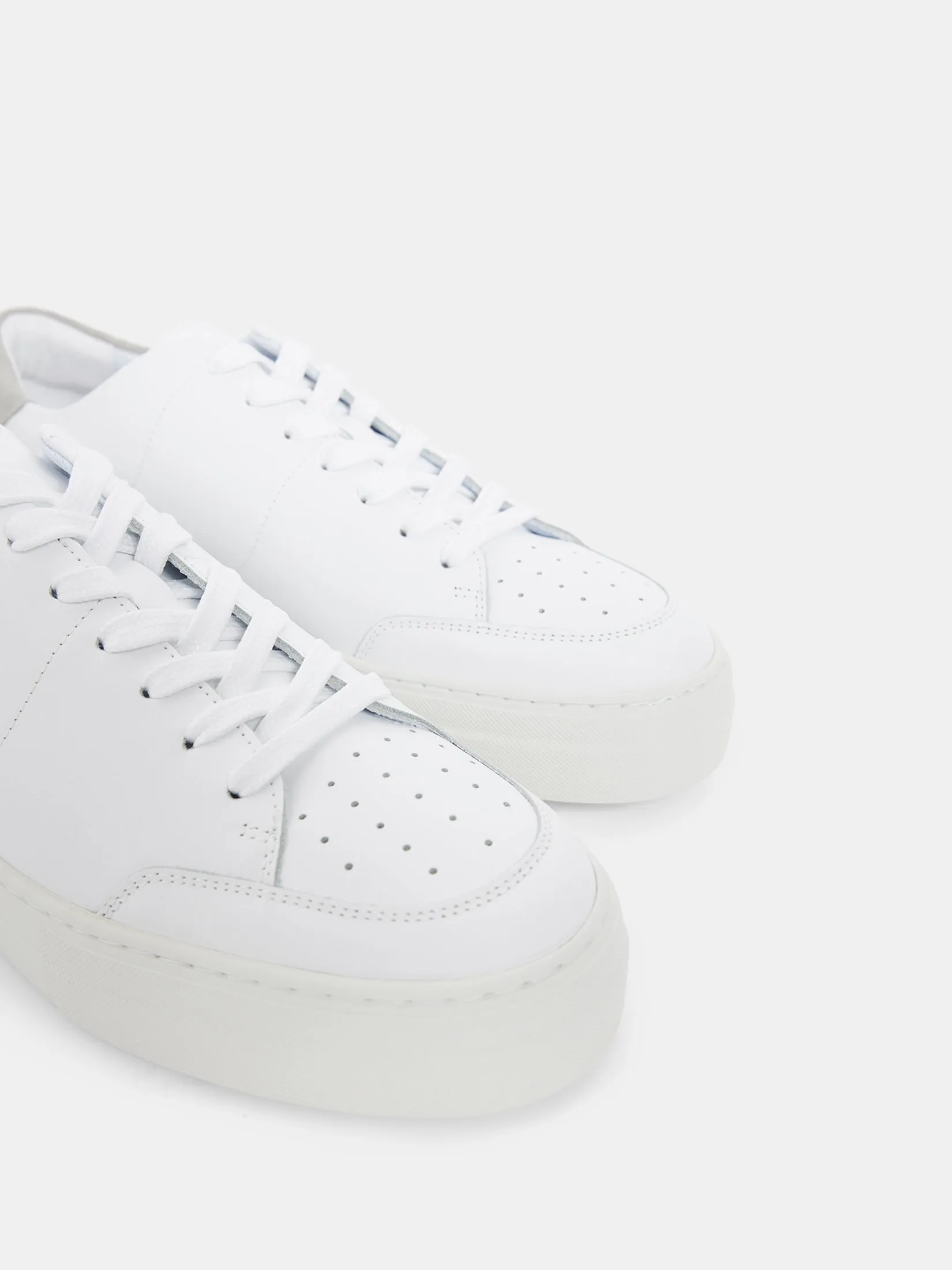 Art Signature Leather Sneaker / White