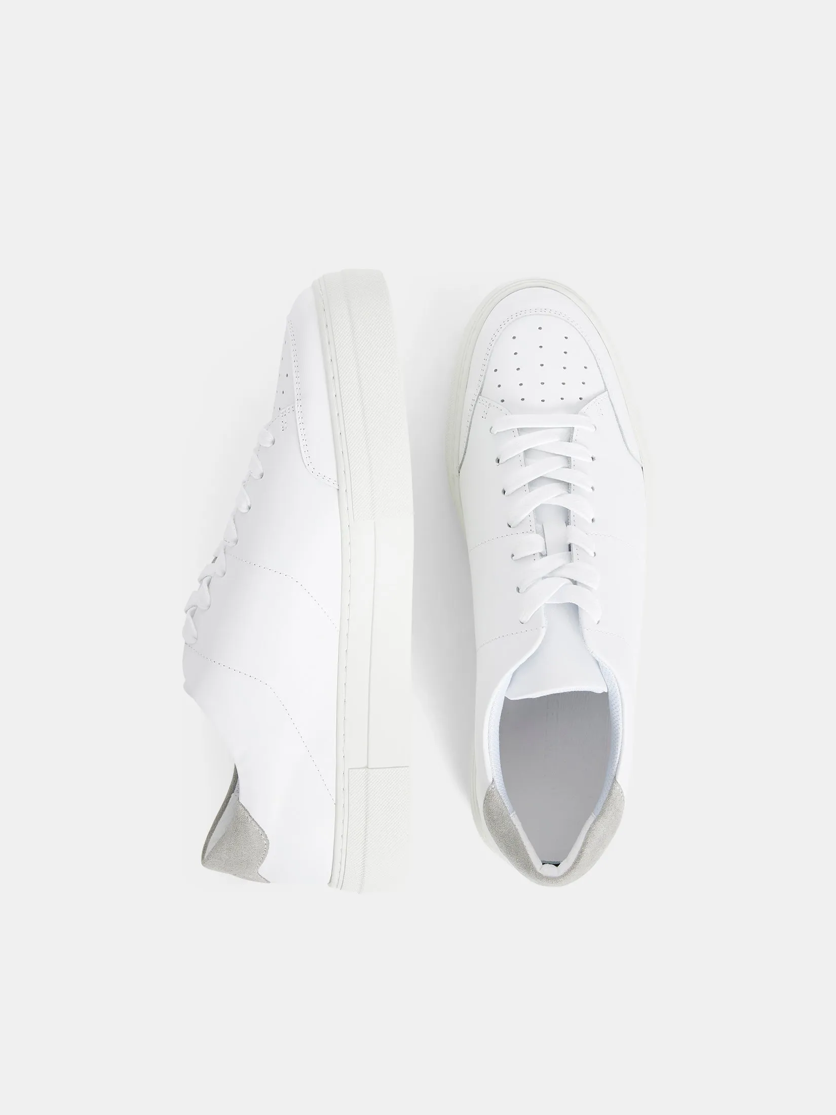 Art Signature Leather Sneaker / White