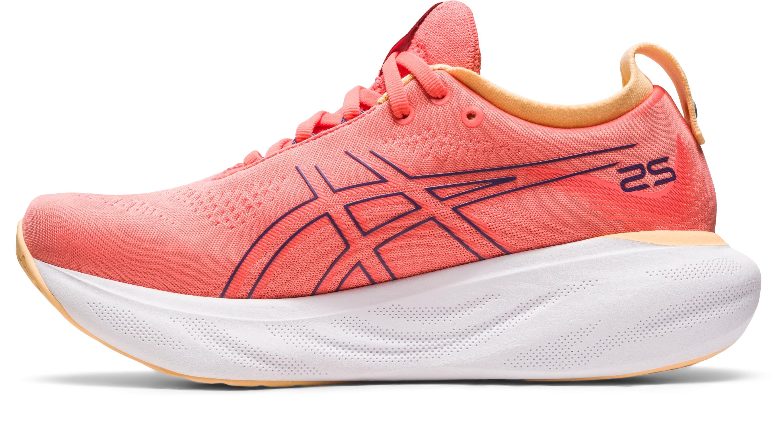 Asics Gel-Nimbus 25 Running Shoe